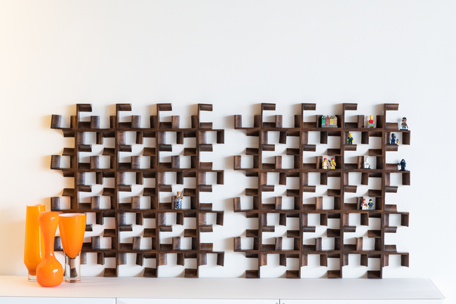 COLLECTOR' Wooden Shelf